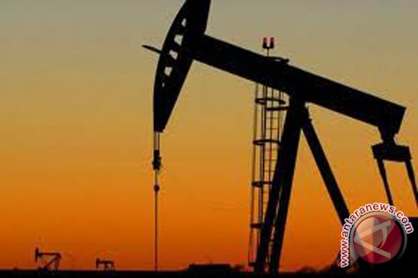  Ketapang Sumbang Realisasi Investasi Rp1,89 Triliun